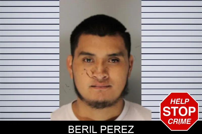 Beril Perez Mugshots