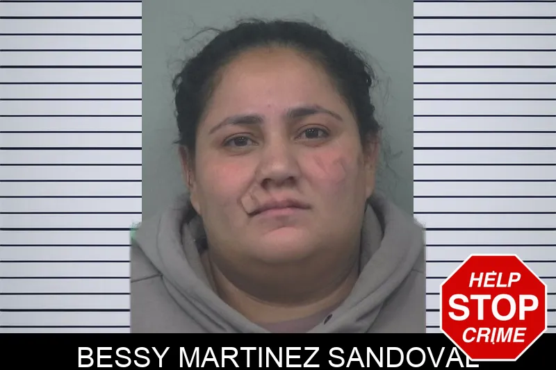 Bessy Martinez Sandoval mugshot – Gwinnett County , Georgia Bessy Martinez Sandoval mugshot