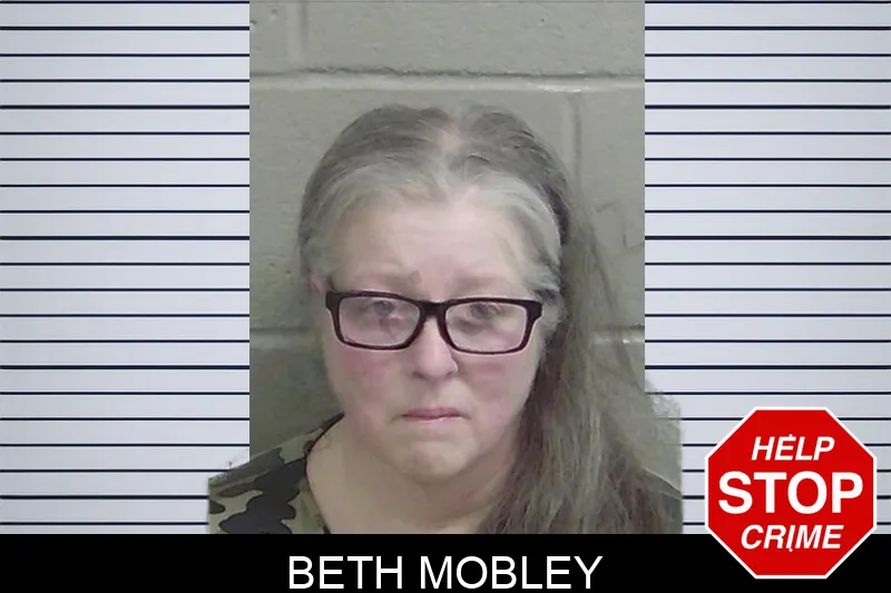 Beth Mobley Mugshots