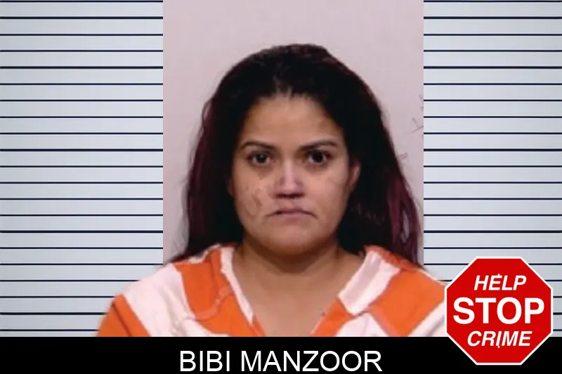 Bibi Manzoor Mugshots