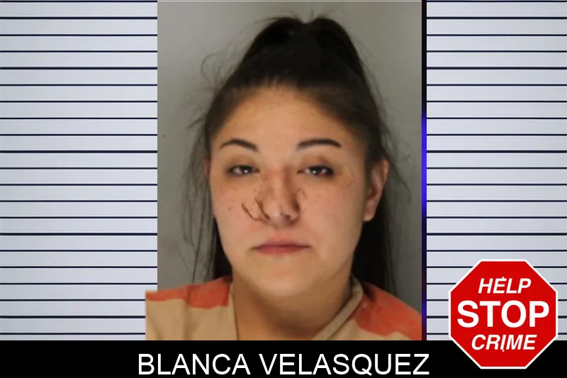 Blanca Velasquez Mugshots