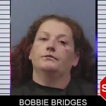 Bobbie Bridges Mugshots