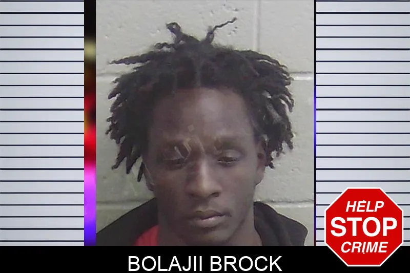 Bolajii Brock Mugshots