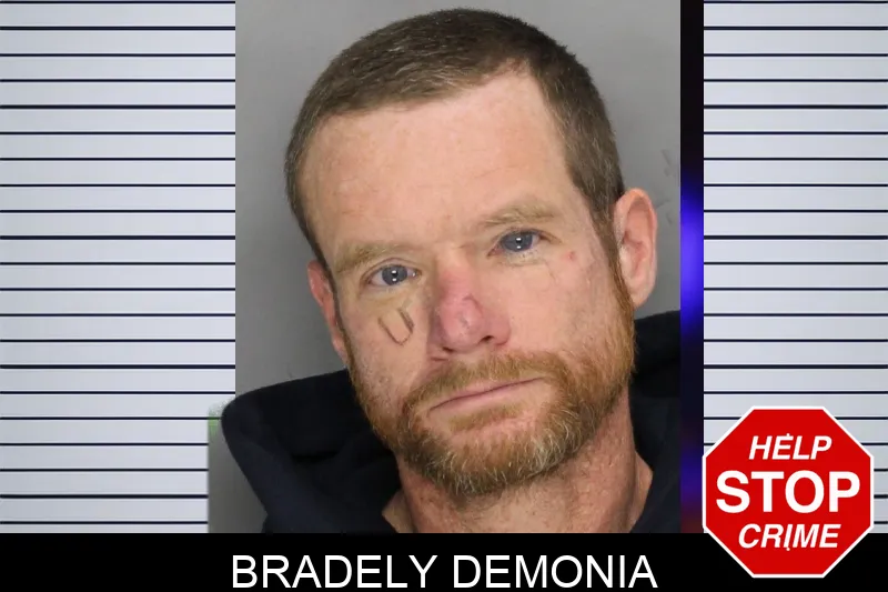 Bradely Demonia Mugshots