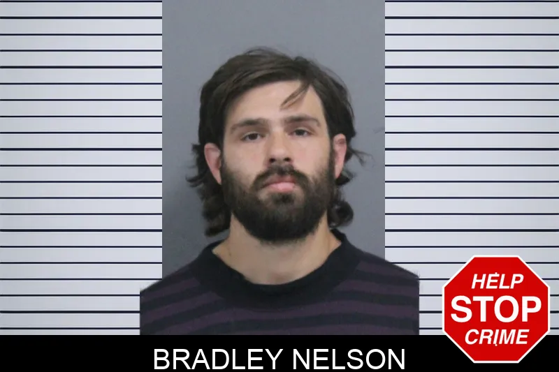 Bradley Nelson Mugshots