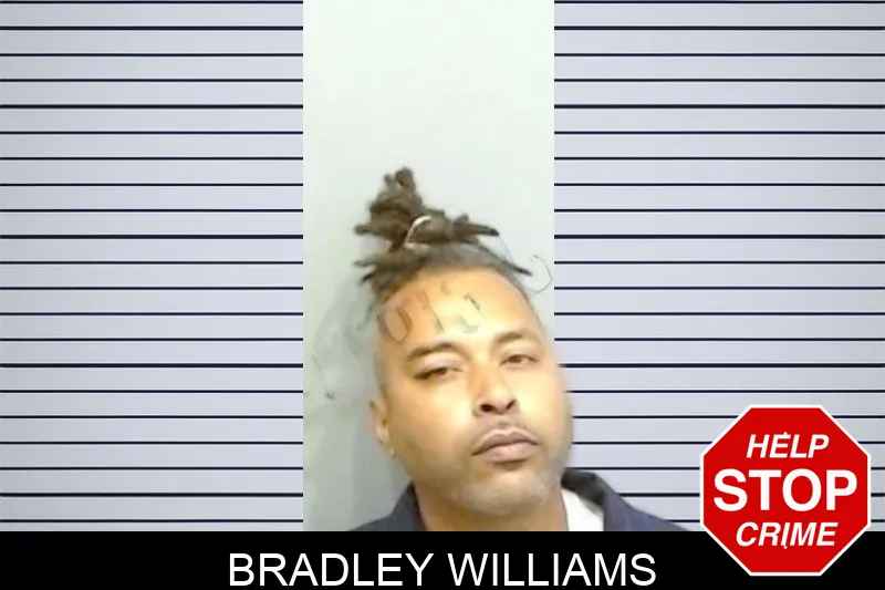 Bradley Williams mugshot