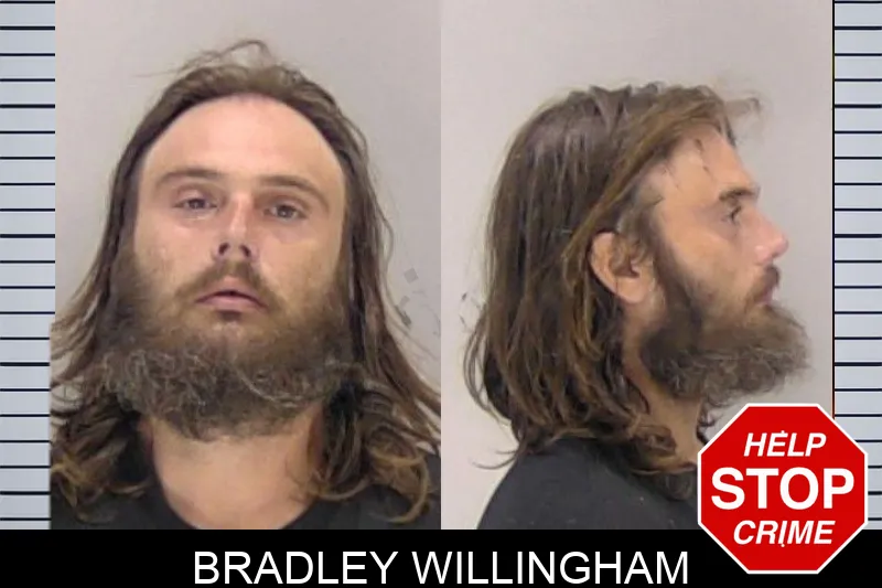 Bradley Willingham Mugshots