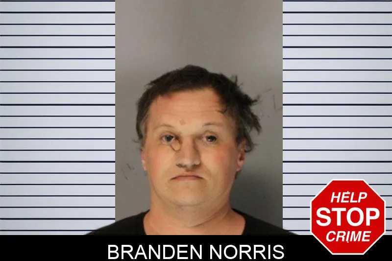Branden Norris mugshot
