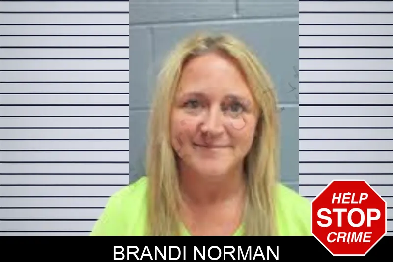 Brandi Norman Mugshots