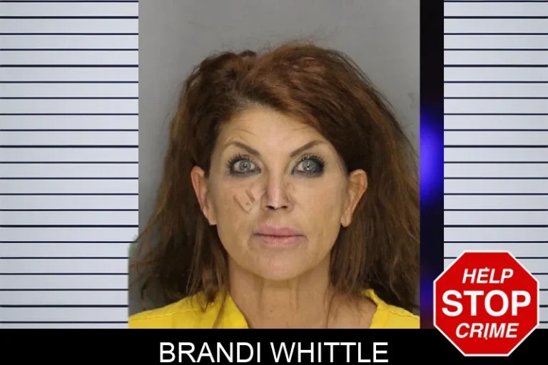 Brandi Whittle mugshot – Cobb County , Georgia Brandi Whittle