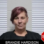 Brandie Hardison Mugshots