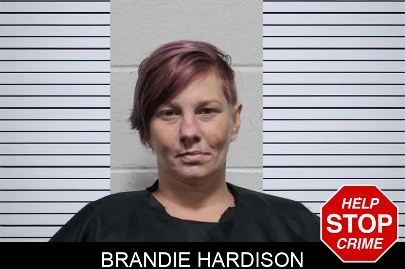 Brandie Hardison Mugshots