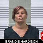 Brandie Hardison Mugshots