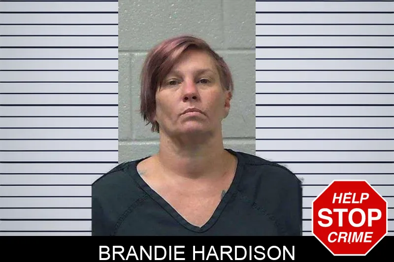 Brandie Hardison Mugshots