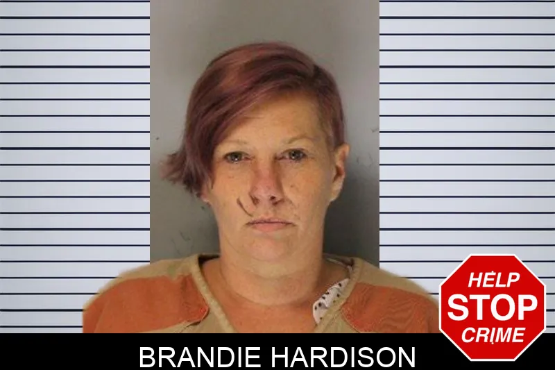 Brandie Hardison mugshot