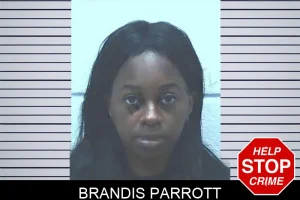 Brandis Parrott mugshot