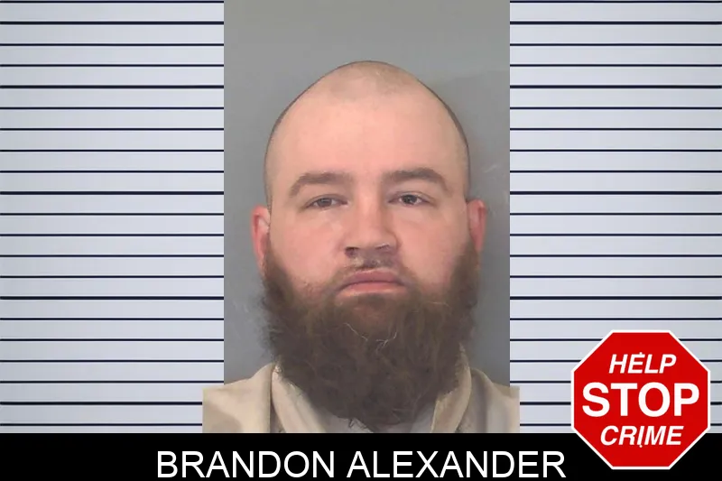 Brandon Alexander Mugshots
