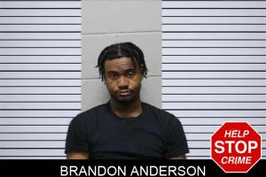 Brandon Anderson mugshot