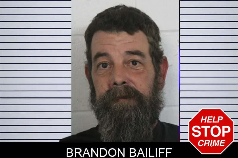 Brandon Bailiff Mugshots