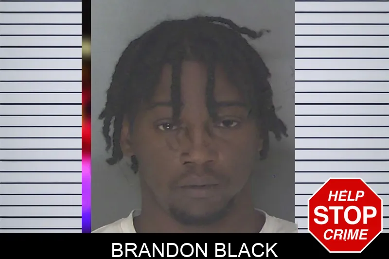 Brandon Black Mugshots