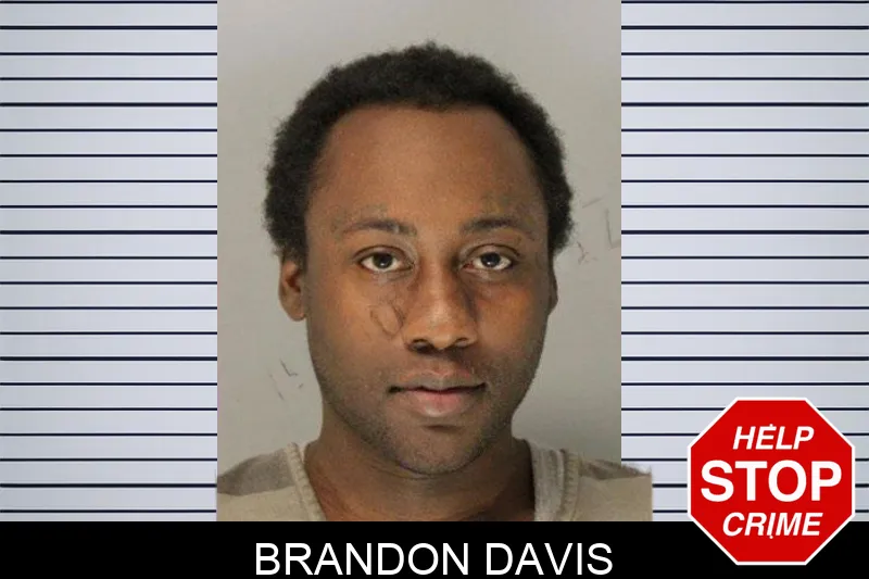 Brandon Davis Mugshots