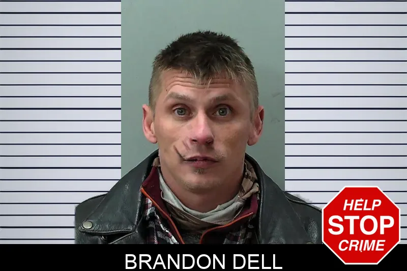 Brandon Dell Mugshots
