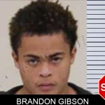 Brandon Gibson Mugshots