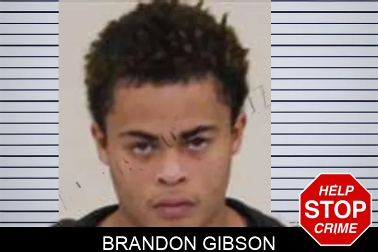 Brandon Gibson