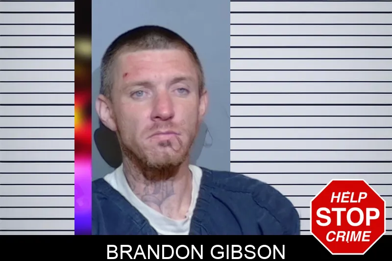 Brandon Gibson Mugshots