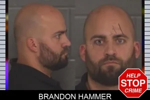 Brandon Hammer mugshot