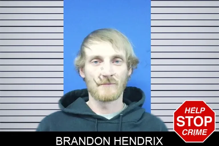 Brandon Hendrix mugshot – Troup County , Georgia Brandon Hendrix