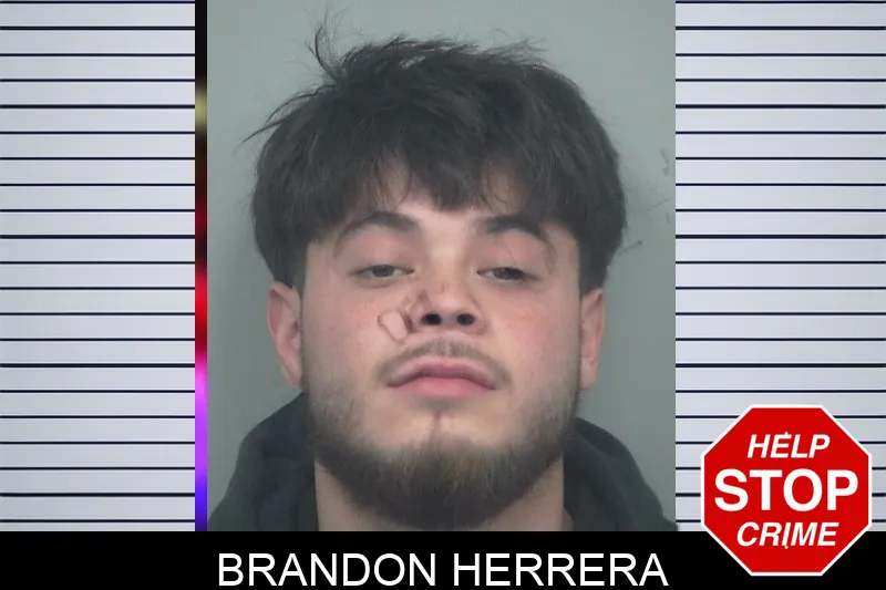 Brandon Herrera mugshot