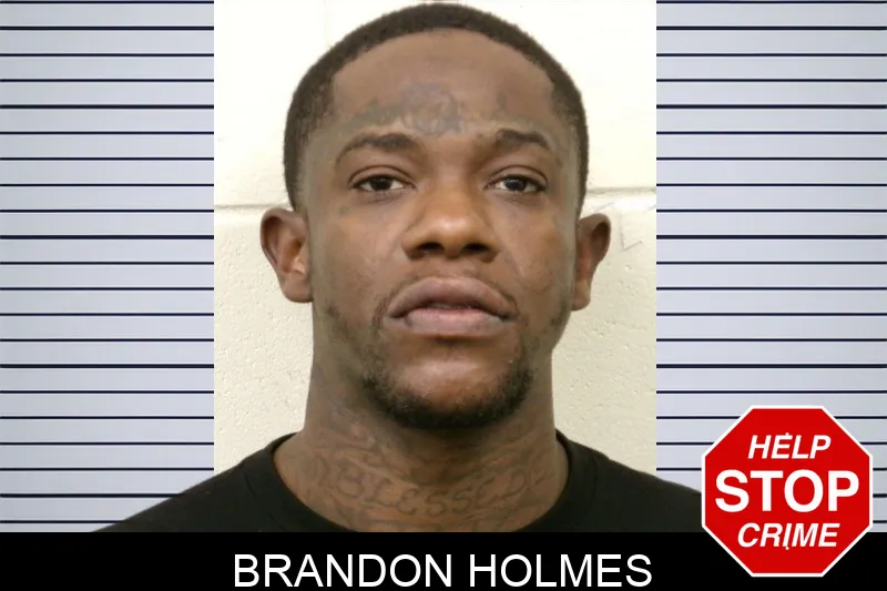 Brandon Holmes Mugshots