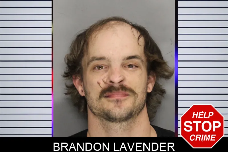 Brandon Lavender Mugshots