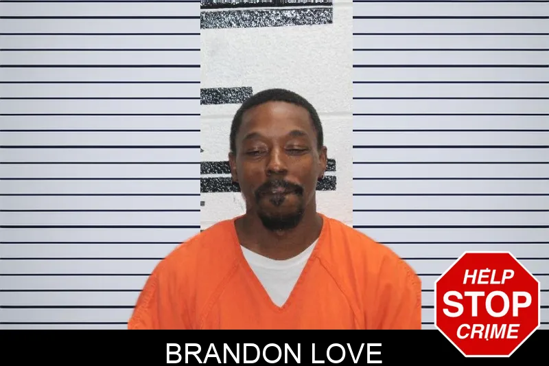 Brandon Love Mugshots