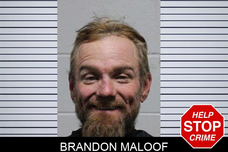 Brandon Maloof Mugshots