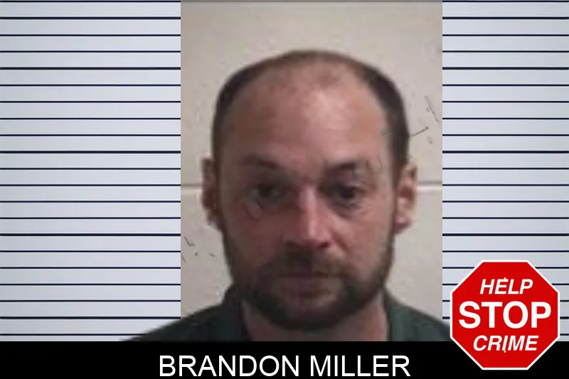 Brandon Miller Mugshots