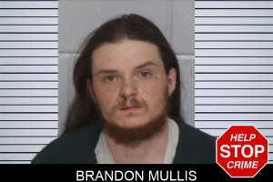 Brandon Mullis mugshot