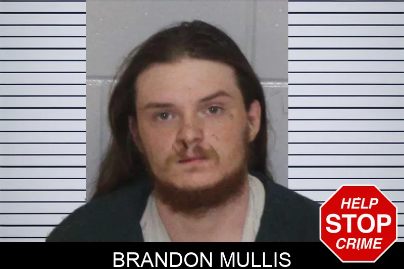 Brandon Mullis Mugshots