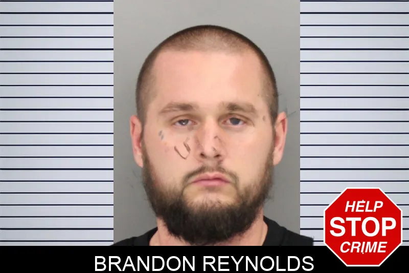 Brandon Reynolds