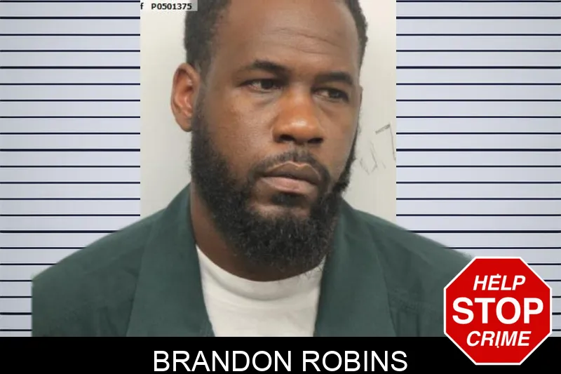 Brandon Robins mugshot