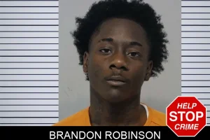 Brandon Robinson mugshot