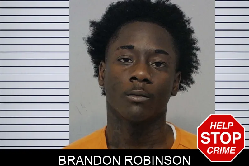 Brandon Robinson Mugshots