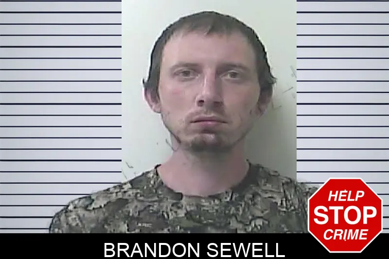 Brandon Sewell Mugshots