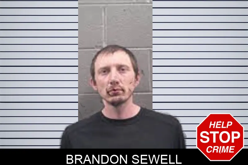 Brandon Sewell Mugshots
