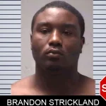 Brandon Strickland Mugshots
