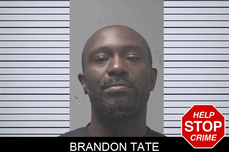 Brandon Tate Mugshots