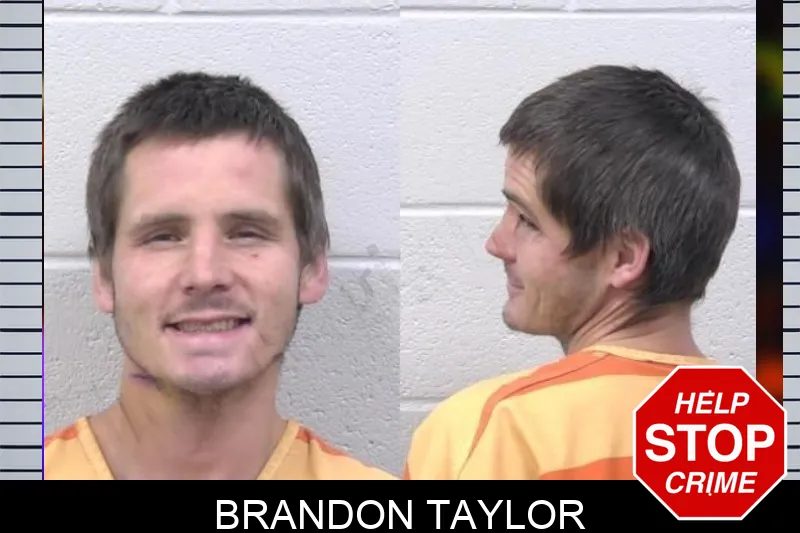 Brandon Taylor Mugshots