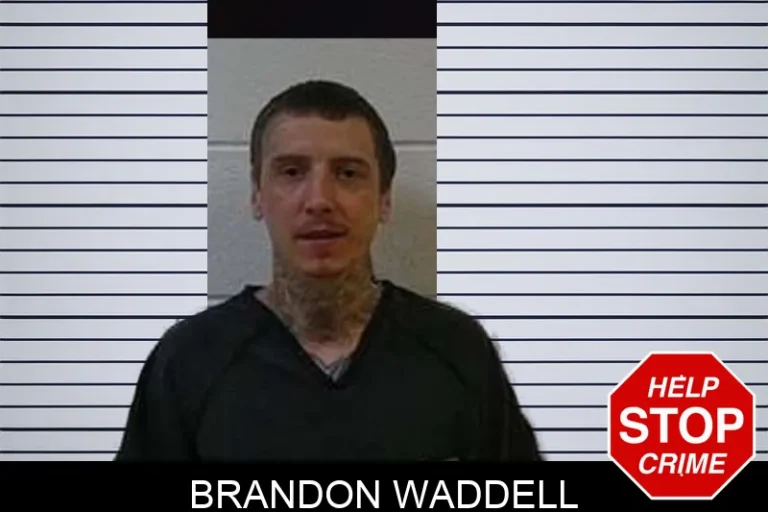 Brandon Waddell