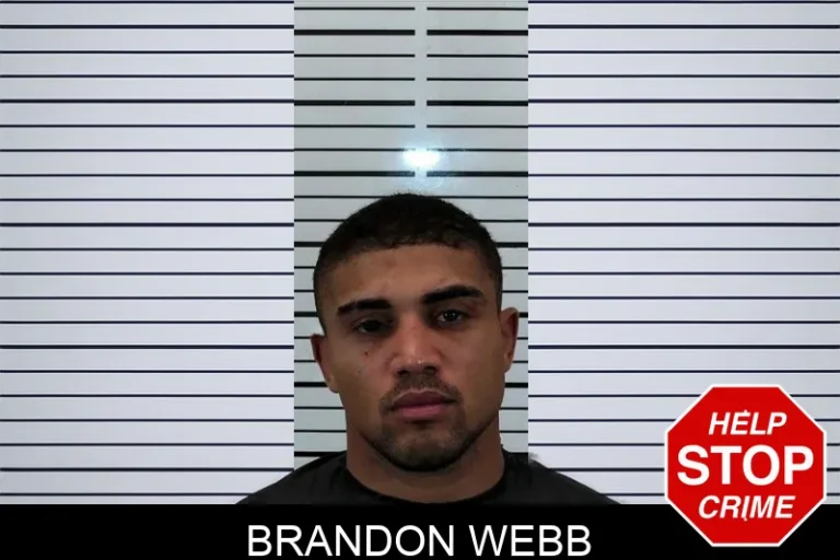 Brandon Webb